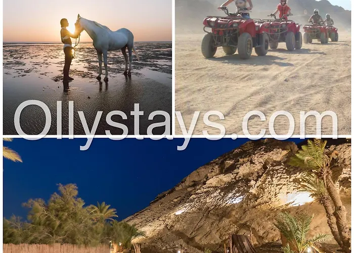 Seaview Mangroovy 2br, Walk To & Pool, Ollystays Red Sea